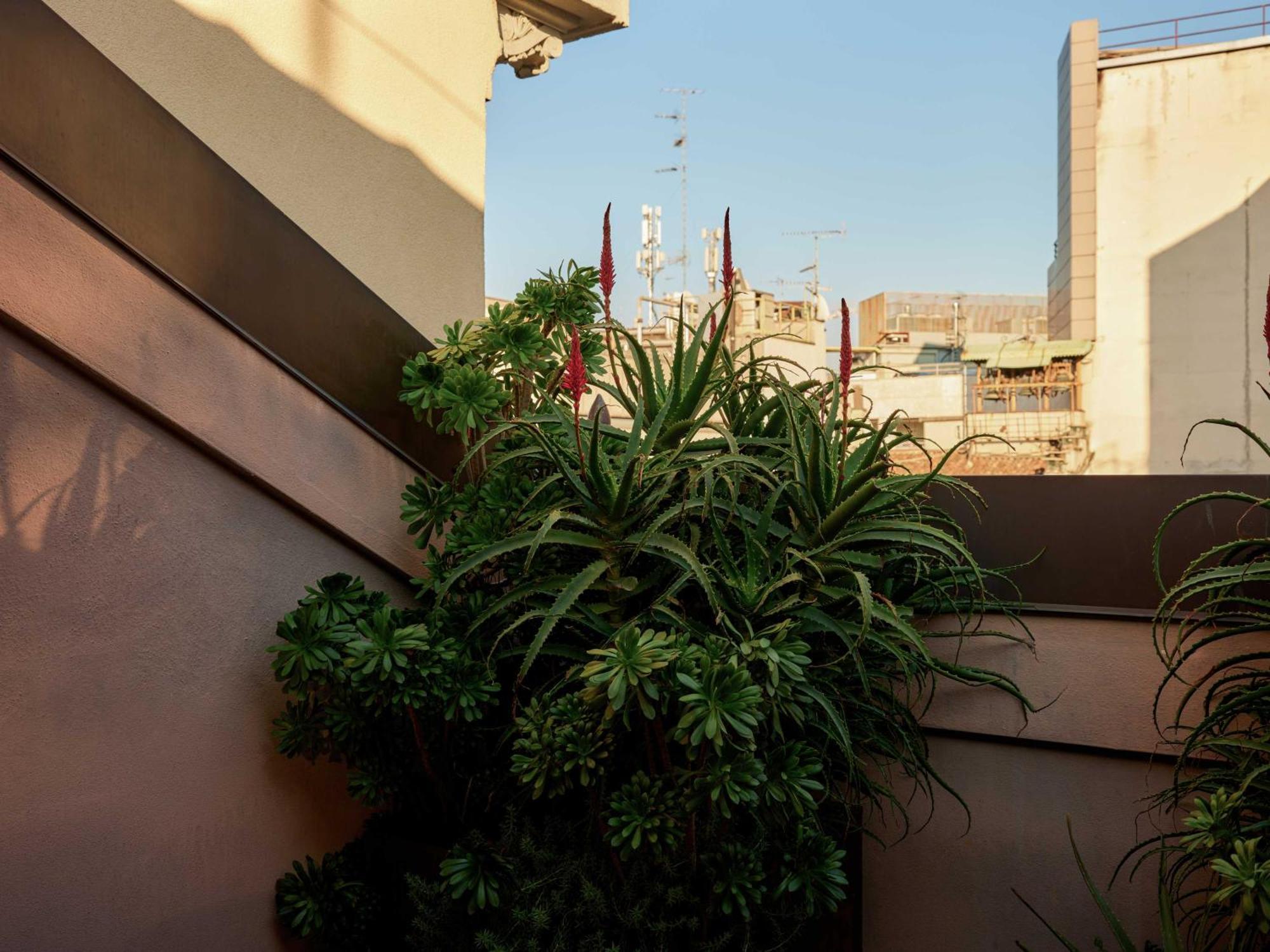 Straf, Milan, A Member Of Design Hotels, Milan